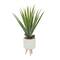 3ft. Potted White Plastic Modern Aloe Vera Artificial Foliage